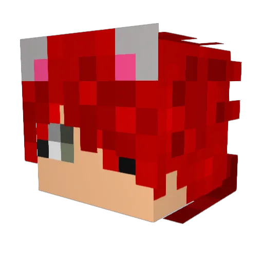 Noah_418 Minecraft avatar head, 3D render