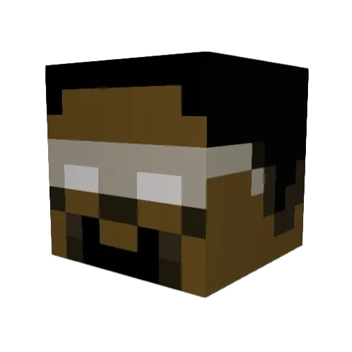Noah_ Minecraft avatar head, 3D render