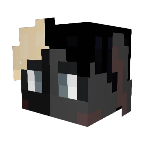 Noah_Armstrong Minecraft avatar head, 3D render