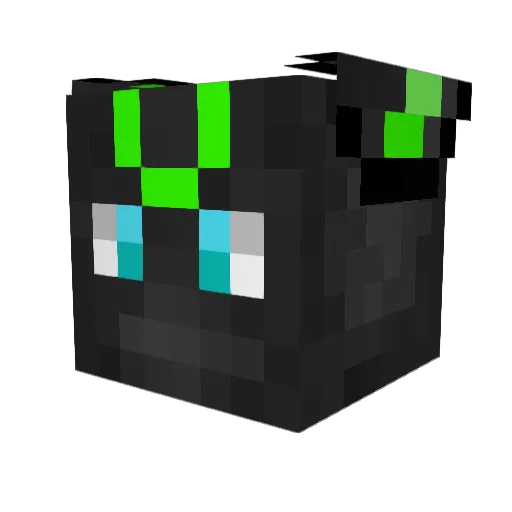 Noah_Hoezen Minecraft avatar head, 3D render