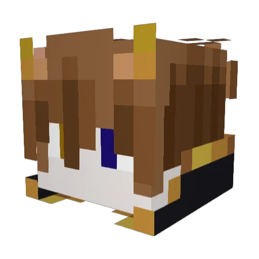 Noah_Ko Minecraft avatar head, 3D render