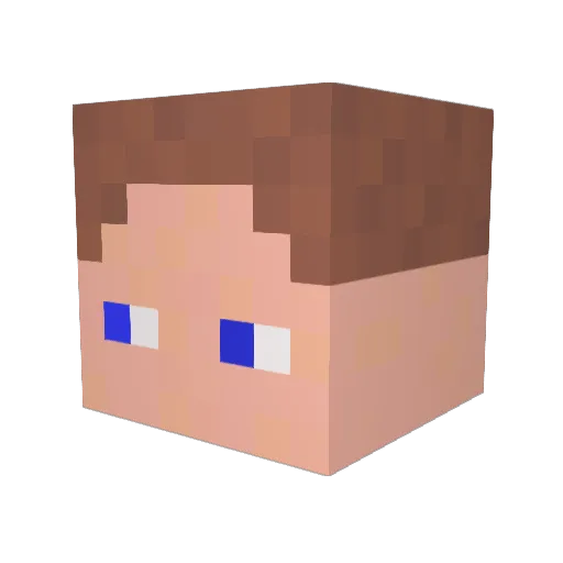 Noah_NW Minecraft avatar head, 3D render