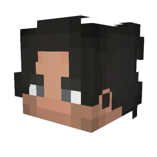 Noah_PVE Minecraft avatar head, 3D render