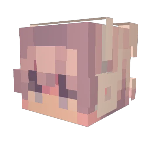 Noah_VwV Minecraft avatar head, 3D render