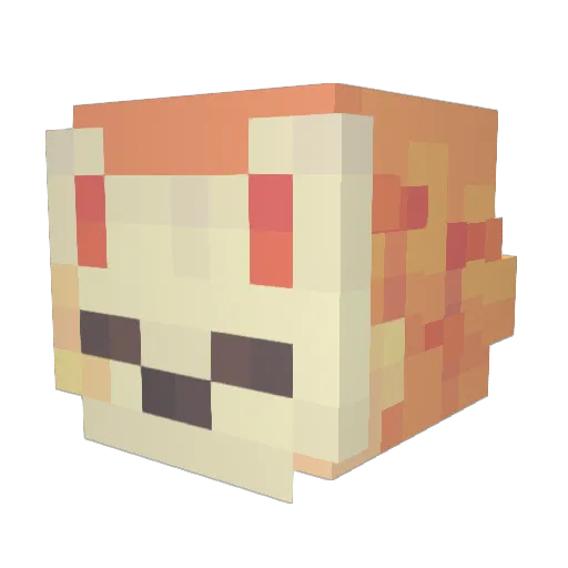 Noah_YK Minecraft avatar head, 3D render