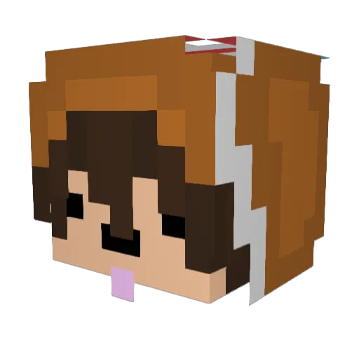 Noah__xd Minecraft avatar head, 3D render