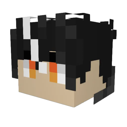 Noah_jar Minecraft avatar head, 3D render
