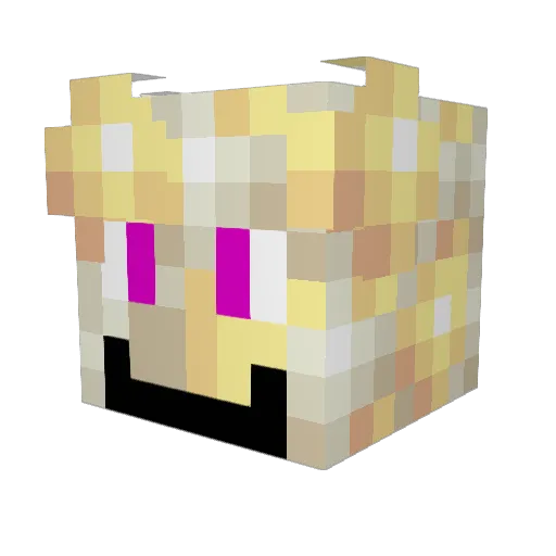 Noah_player Minecraft avatar head, 3D render
