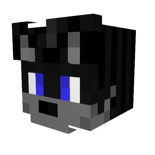 Noahchocolat42 Minecraft avatar head, 3D render