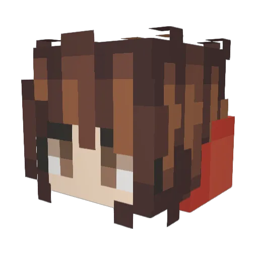 Noahcorcs Minecraft avatar head, 3D render