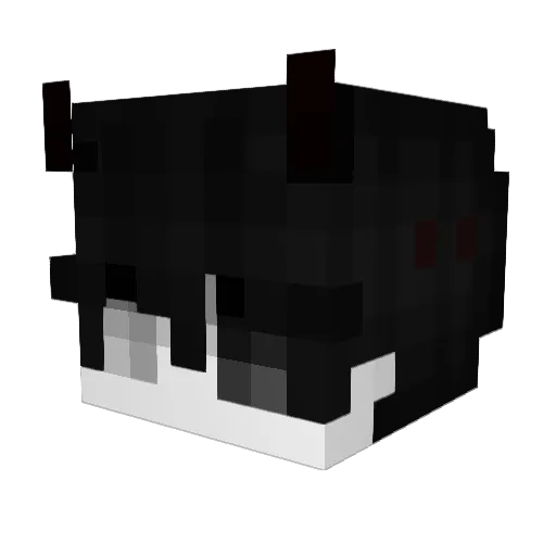 Noahencem Minecraft avatar head, 3D render