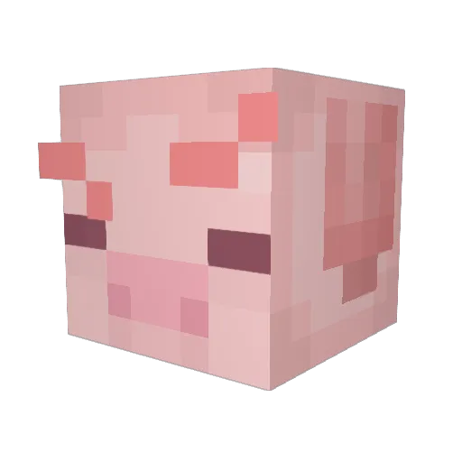 Noahhns Minecraft avatar head, 3D render