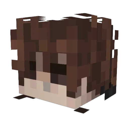 Noahjet04 Minecraft avatar head, 3D render