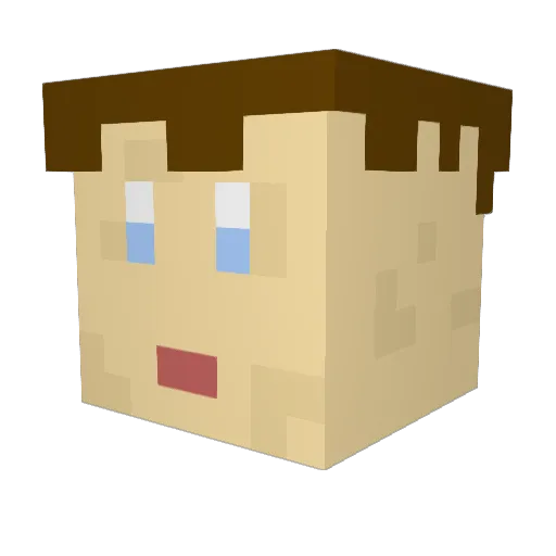 Noahlohse Minecraft avatar head, 3D render