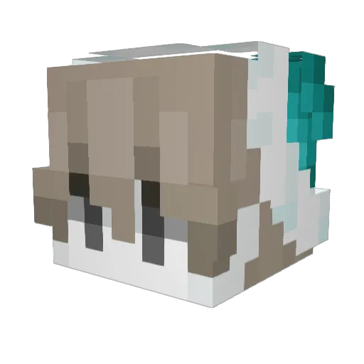 Noahni_i Minecraft avatar head, 3D render