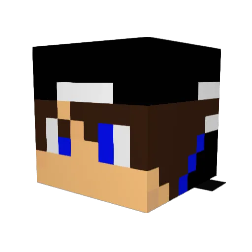 Noahninja10 Minecraft avatar head, 3D render