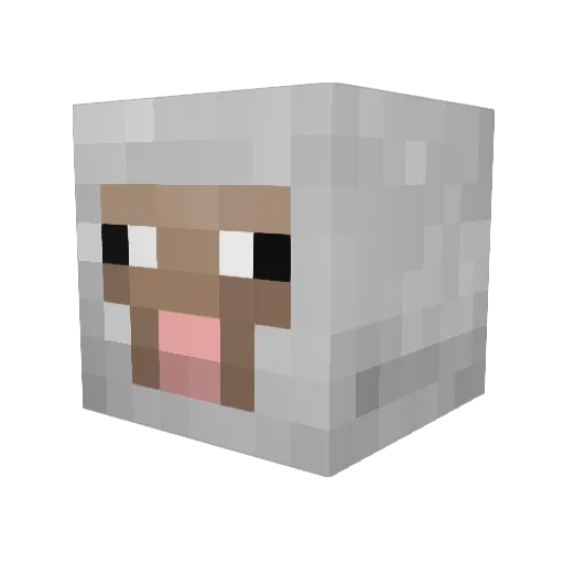 Noahnono2955 Minecraft avatar head, 3D render