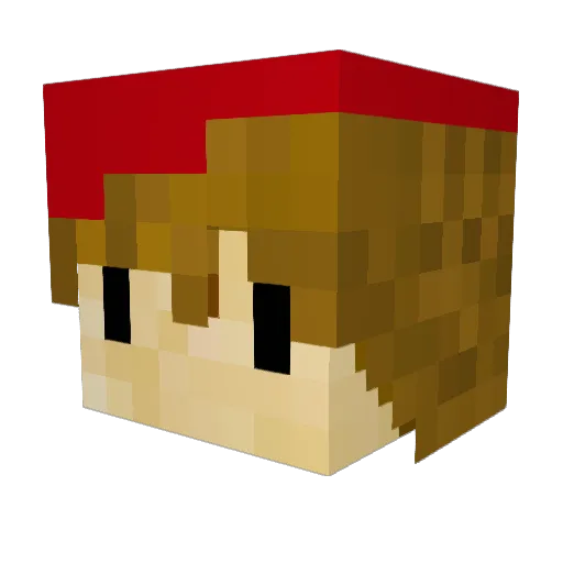 NoahoftheNoah Minecraft avatar head, 3D render