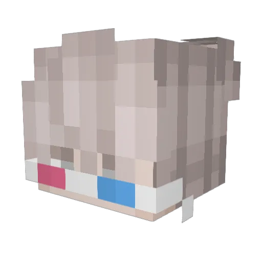 Noahp6789 Minecraft avatar head, 3D render