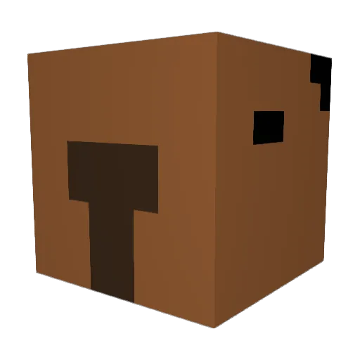 Noahribs2011 Minecraft avatar head, 3D render