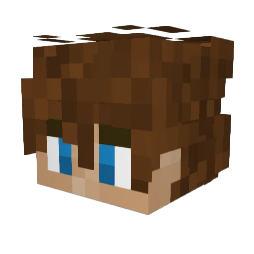 Noahruler1 Minecraft avatar head, 3D render