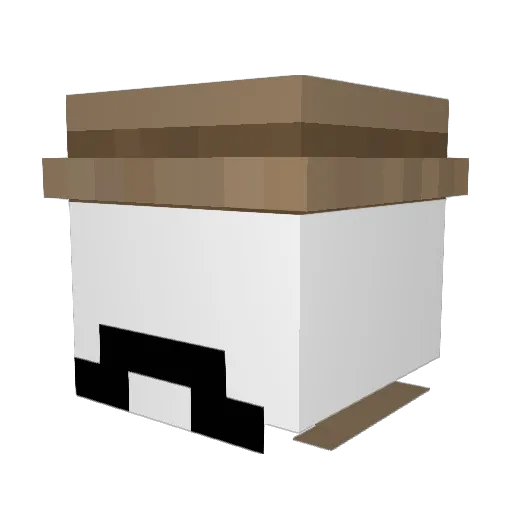 NoahsArrk Minecraft avatar head, 3D render