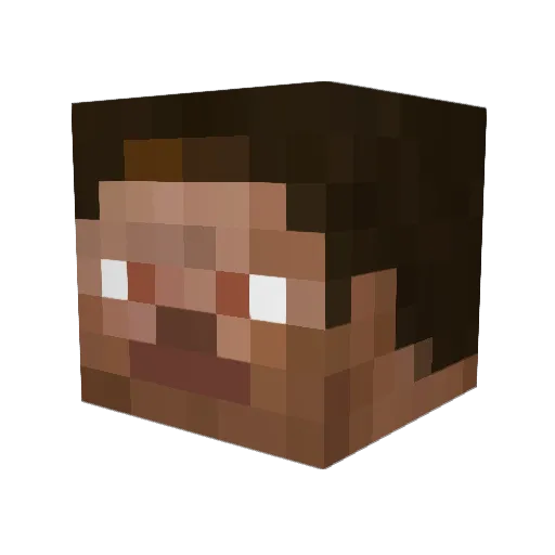 NoahsGaming13 Minecraft avatar head, 3D render