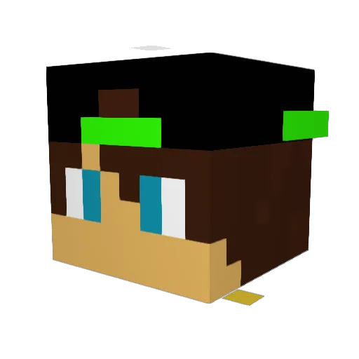 Noahs_Welt Minecraft avatar head, 3D render
