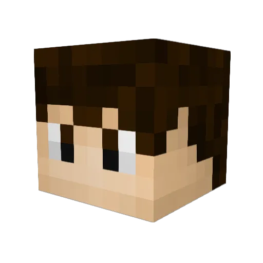 Noahsan Minecraft avatar head, 3D render