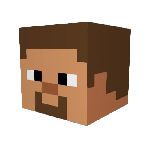 Noahsuperninja Minecraft avatar head, 3D render