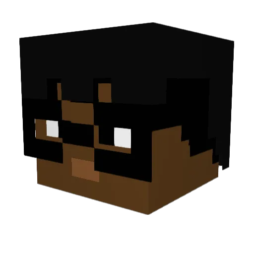 Noahthebeast_ Minecraft avatar head, 3D render