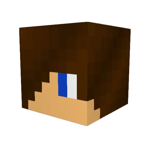 Noahthomson Minecraft avatar head, 3D render