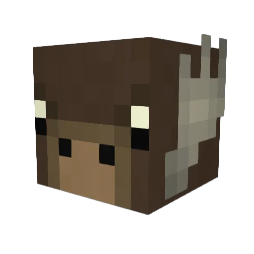 Noahtoa23 Minecraft avatar head, 3D render