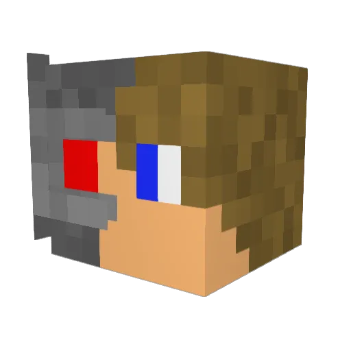 Noahwolfking725 Minecraft avatar head, 3D render
