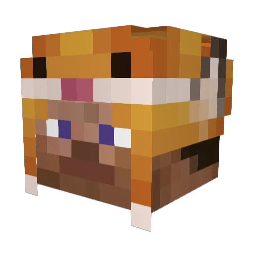 Noak Minecraft avatar head, 3D render