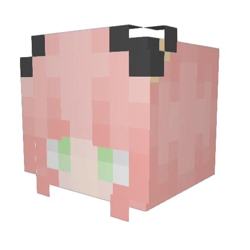 Noam1342007 Minecraft avatar head, 3D render