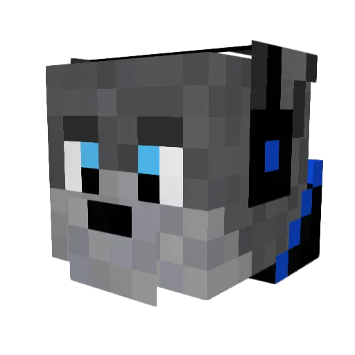 NoamED4 Minecraft avatar head, 3D render