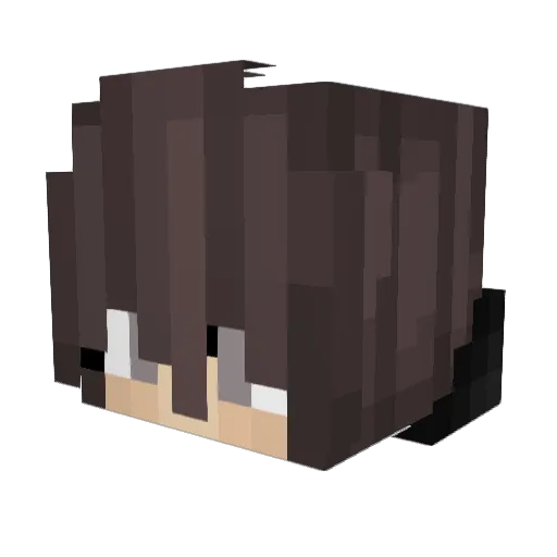 Noampiko Minecraft avatar head, 3D render