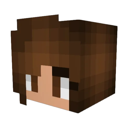 Noangele Minecraft avatar head, 3D render