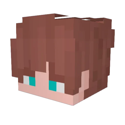 Noap_ Minecraft avatar head, 3D render