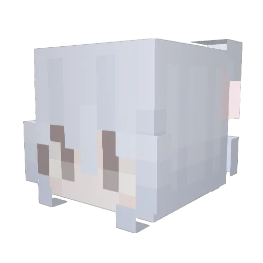 Noasessere Minecraft avatar head, 3D render