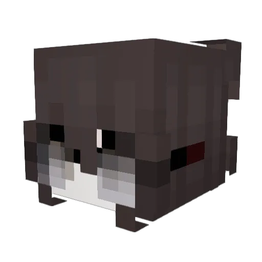 Noasquik Minecraft avatar head, 3D render