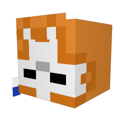 Nob0by Minecraft avatar head, 3D render