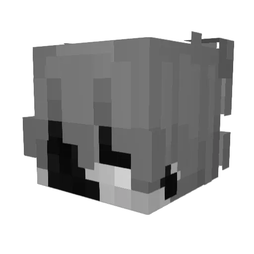 Nob2rlyy Minecraft avatar head, 3D render