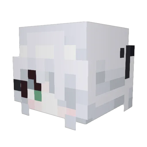 Nobaby_ Minecraft avatar head, 3D render