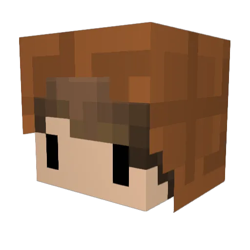 Nobb_ Minecraft avatar head, 3D render