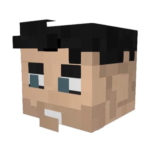 Nobdyisfun Minecraft avatar head, 3D render
