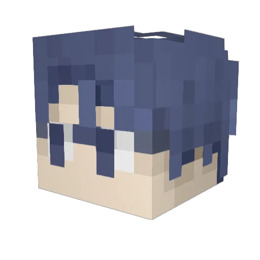 Nobembr Minecraft avatar head, 3D render