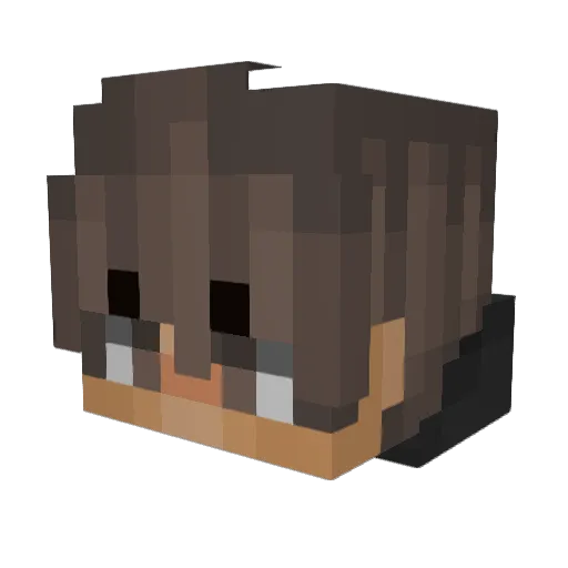 Nobi4z Minecraft avatar head, 3D render