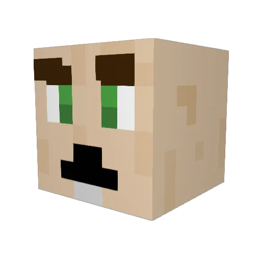 NobiCrafter Minecraft avatar head, 3D render
